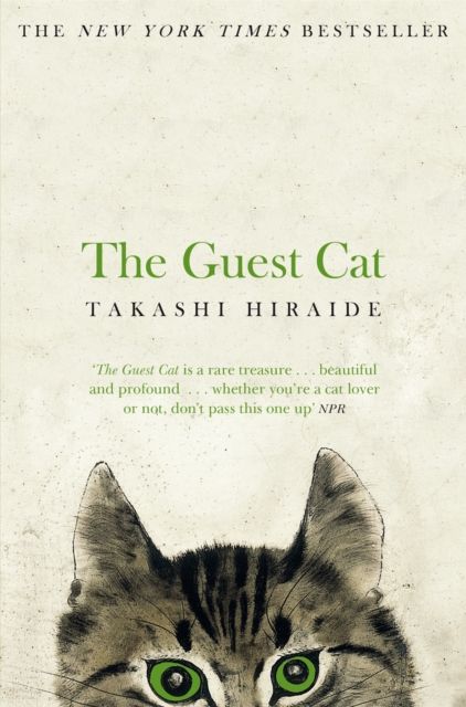 the guest cat. Click here to find out more information