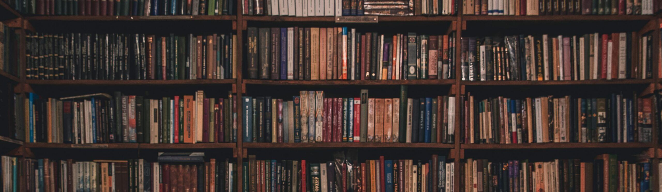 Bookshelf full of books